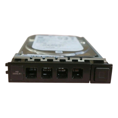 Cisco CSS-HD-250GB